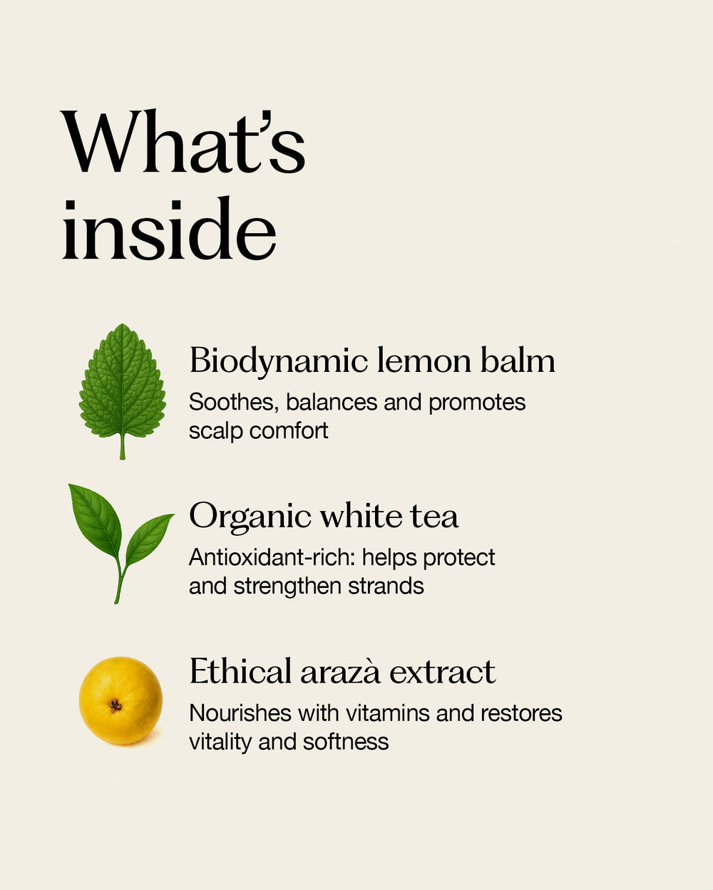 frequent use conditioner