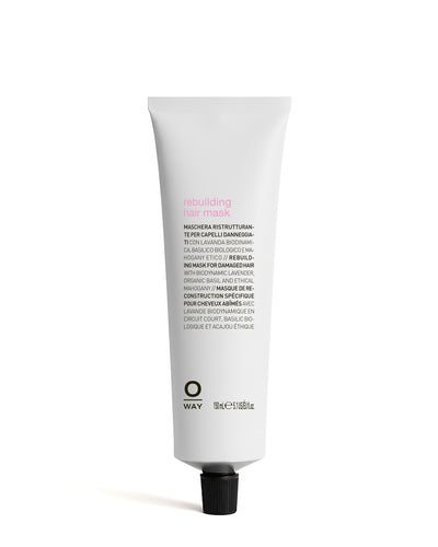 rebuilding hair mask