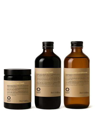 blonde toning complete kit