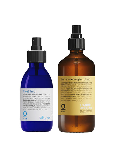 detangle & smooth duo