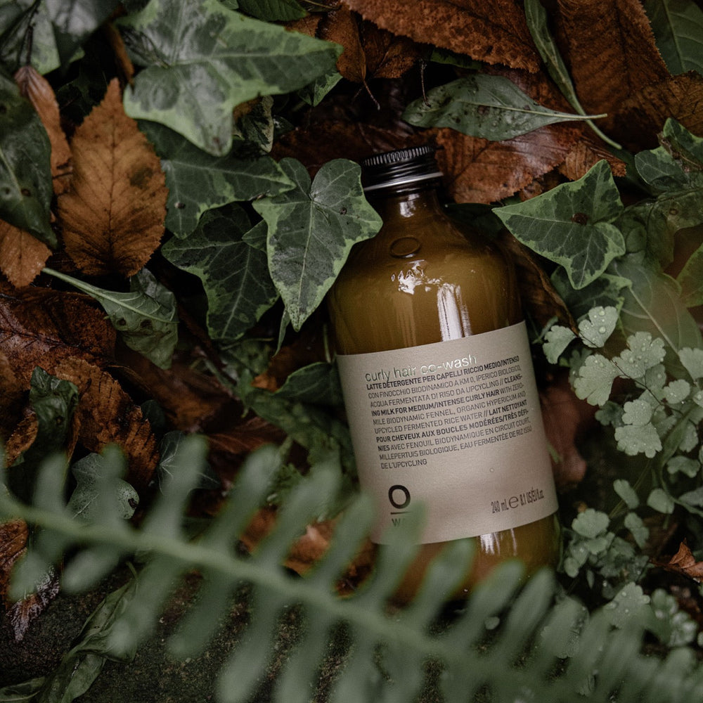 curly hair co-wash