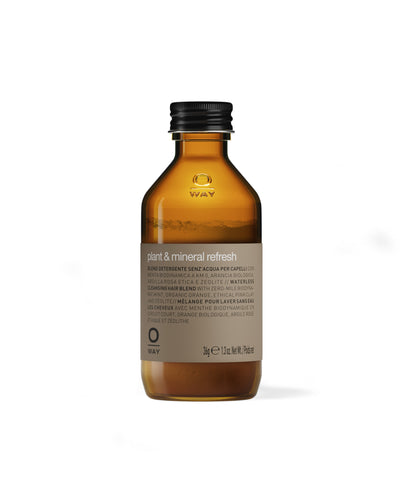 plant & mineral refresh dry shampoo